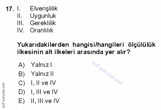 Soru 17