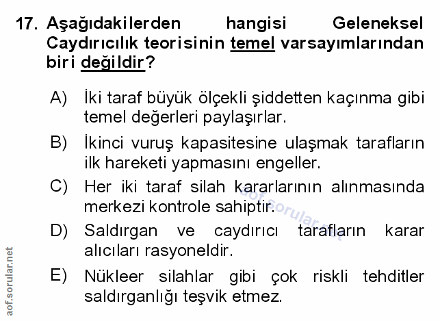 Soru 17