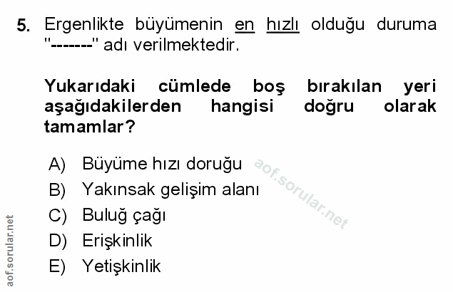 Soru 5