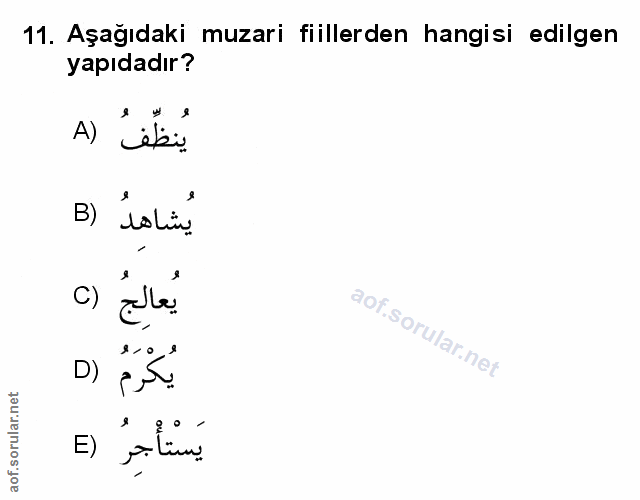 Soru 11