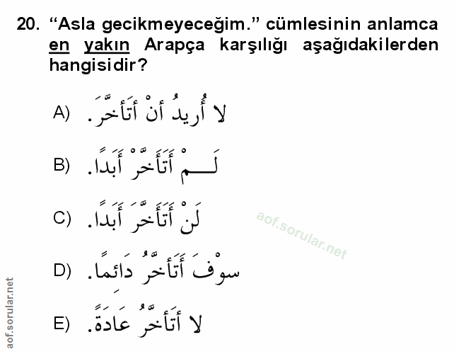 Soru 20