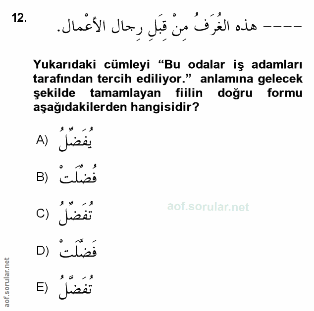 Soru 12