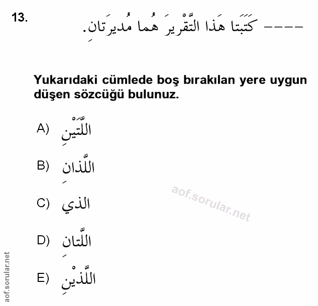 Soru 13