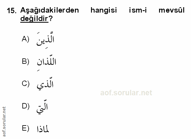 Soru 15