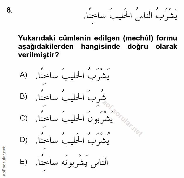 Soru 8