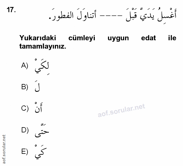 Soru 17