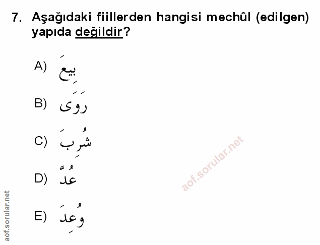 Soru 7