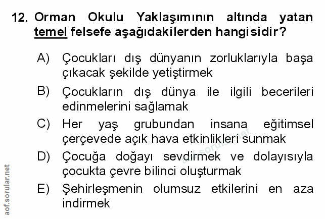 Soru 12