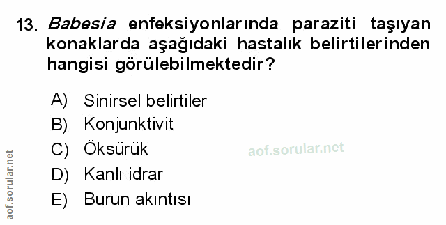 Soru 13