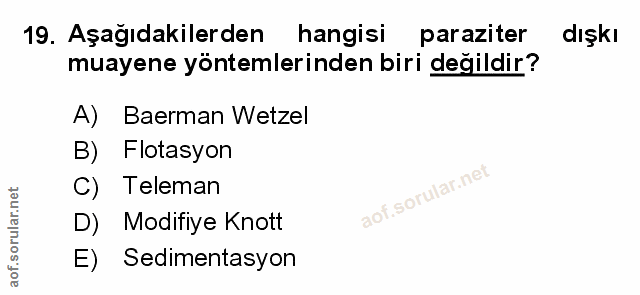 Soru 19