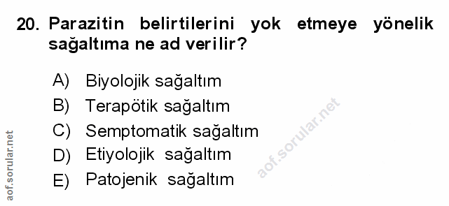 Soru 20