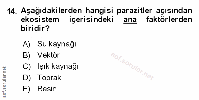 Soru 14