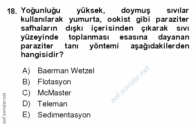 Soru 18