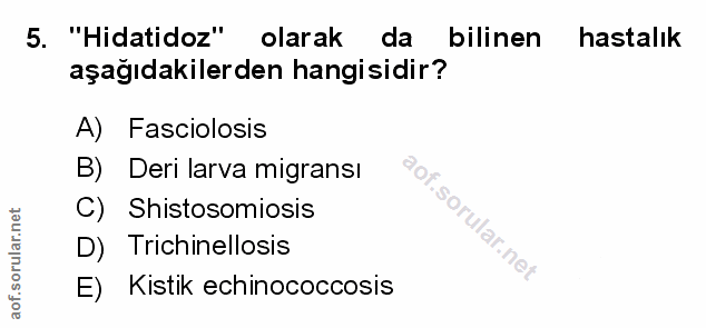 Soru 5