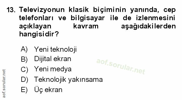 Soru 13