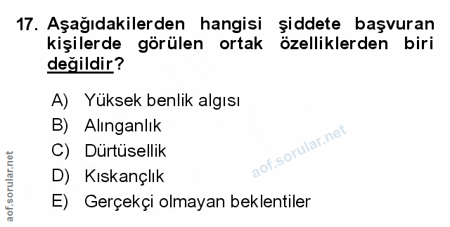 Soru 17