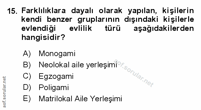 Soru 15