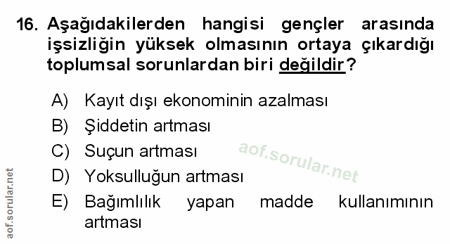 Soru 16
