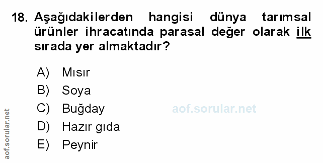 Soru 18