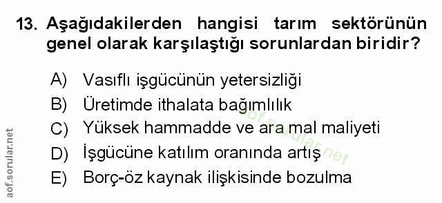 Soru 13