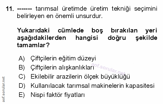 Soru 11