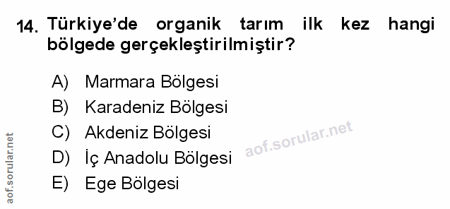 Soru 14
