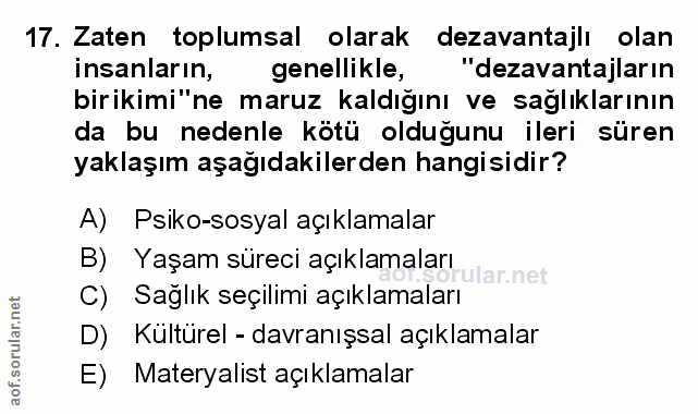 Soru 17