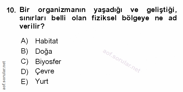 Soru 10