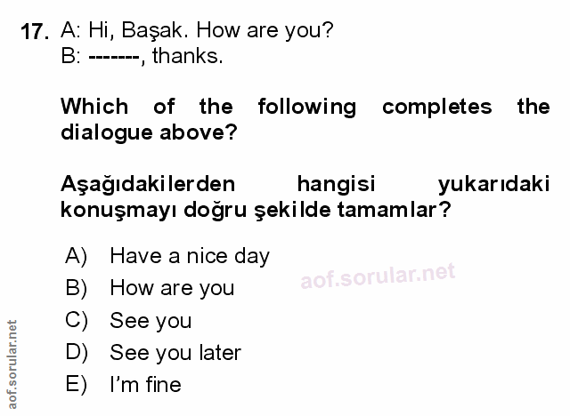 Soru 17