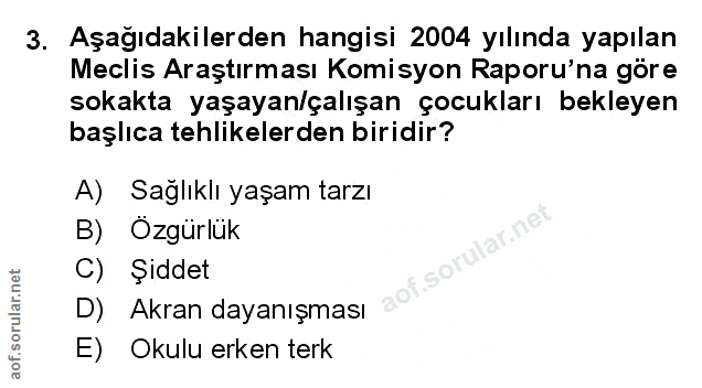 Soru 3