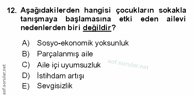 Soru 12