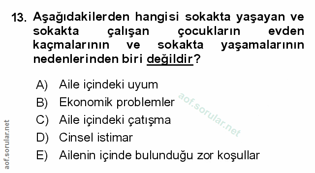 Soru 13