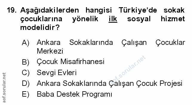 Soru 19