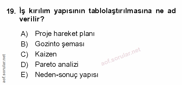 Soru 19