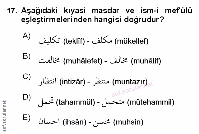 Soru 17