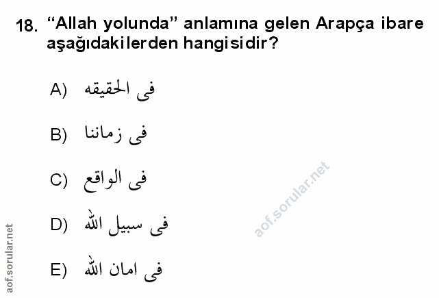 Soru 18