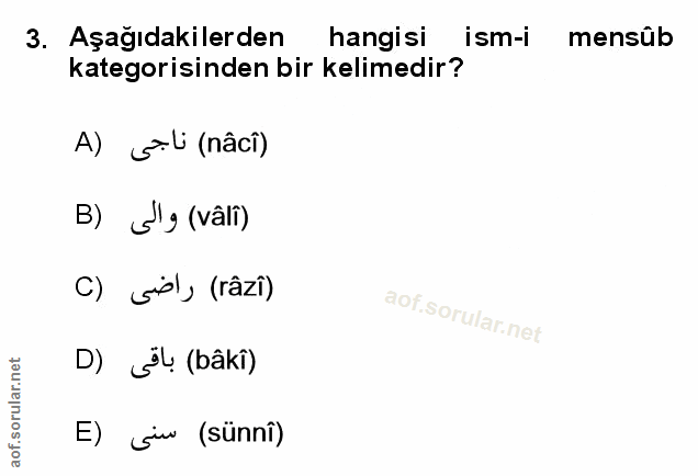 Soru 3