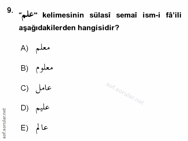 Soru 9