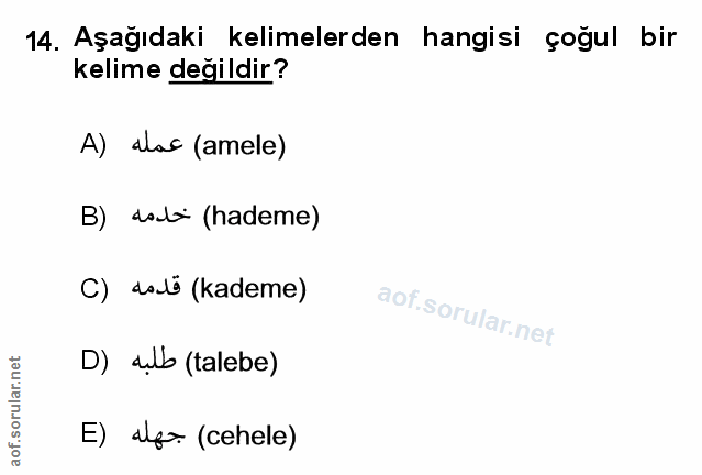 Soru 14