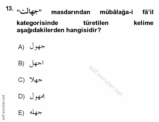 Soru 13