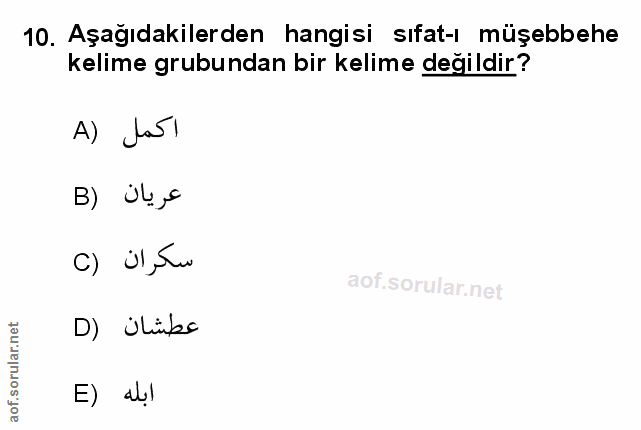 Soru 10