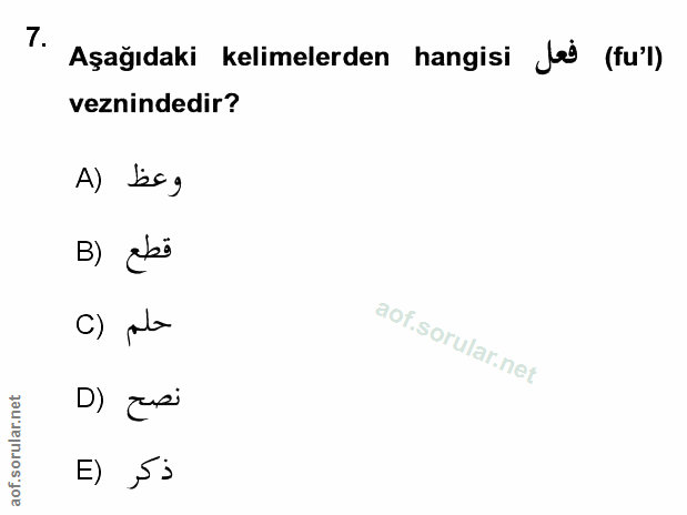 Soru 7