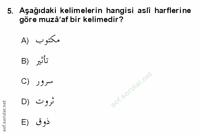Soru 5