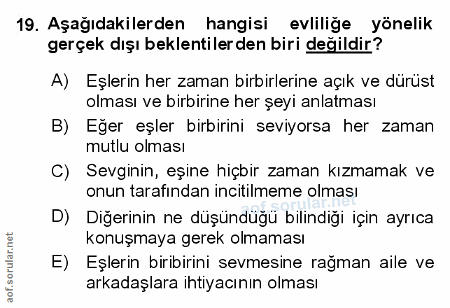 Soru 19
