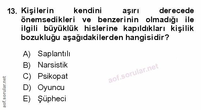 Soru 13
