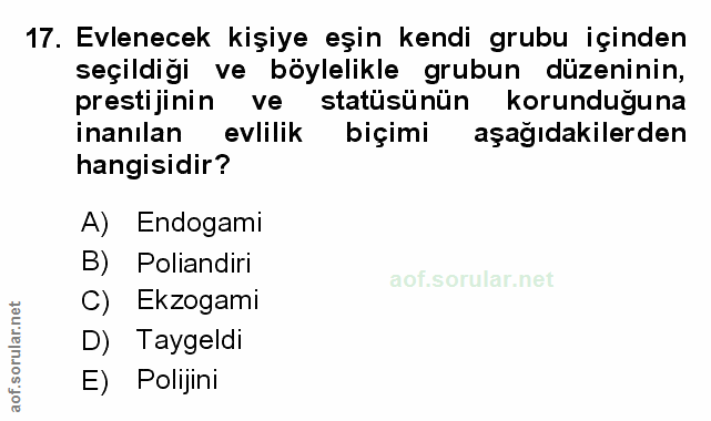 Soru 17