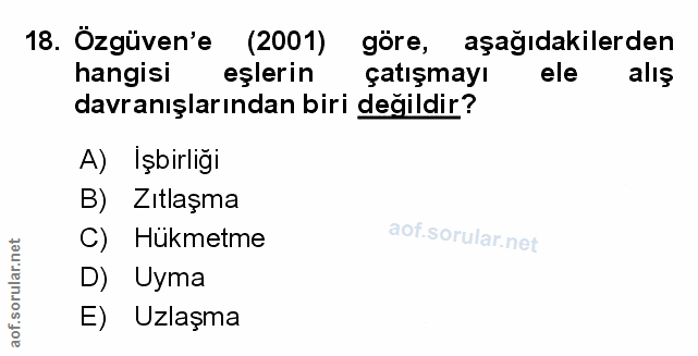 Soru 18