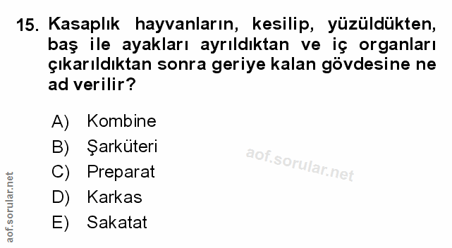 Soru 15
