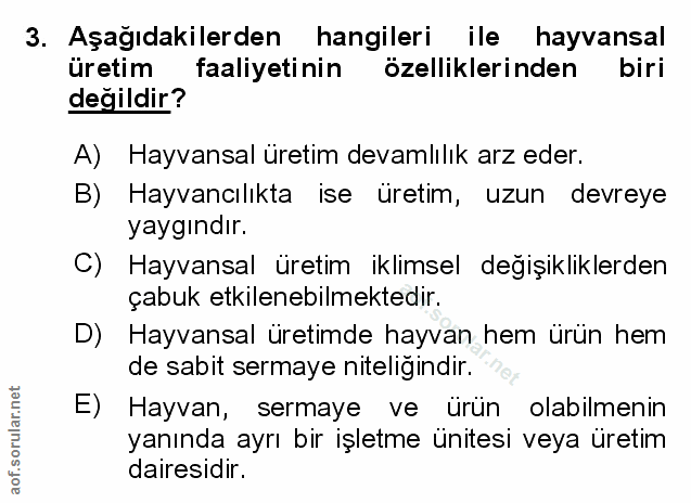 Soru 3