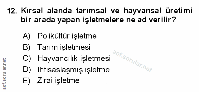 Soru 12